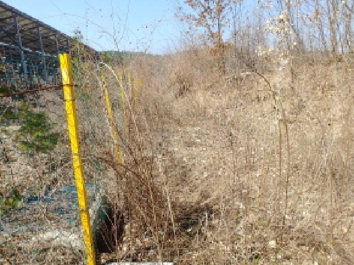 충청남도 금산군 금성면 도곡리 307-4 임야 경매 사진 51
