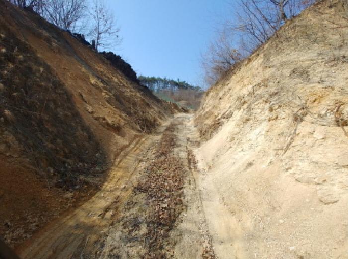충청남도 금산군 금성면 도곡리 307-4 임야 경매 사진 52