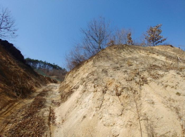 충청남도 금산군 금성면 도곡리 307-4 임야 경매 사진 53