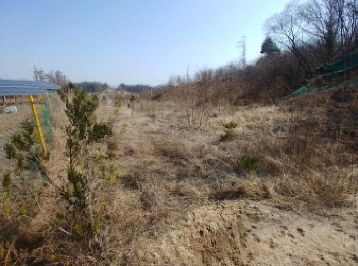 충청남도 금산군 금성면 도곡리 307-4 임야 경매 사진 59