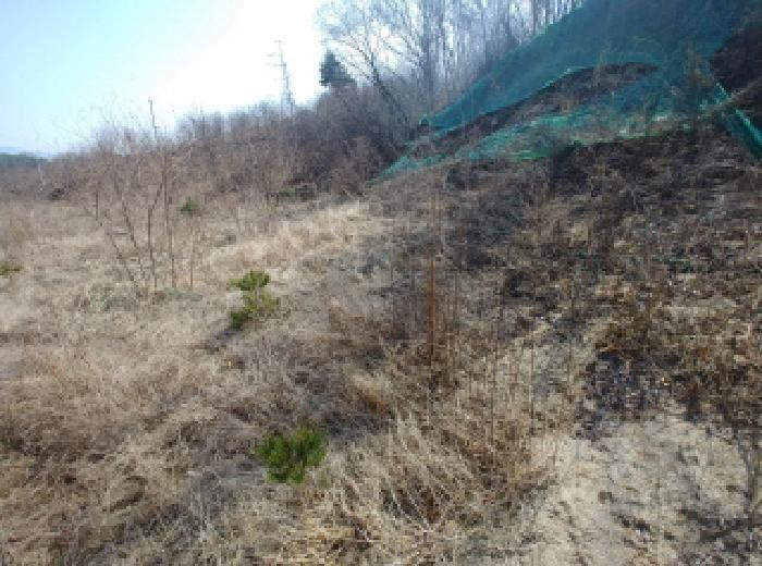 충청남도 금산군 금성면 도곡리 307-4 임야 경매 사진 60