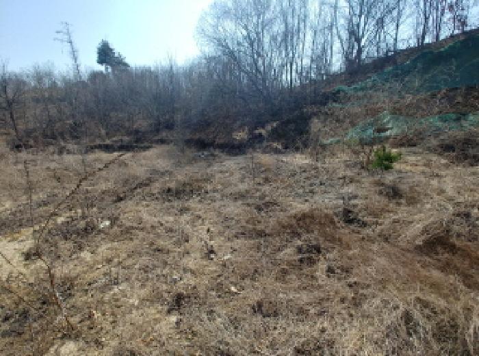 충청남도 금산군 금성면 도곡리 307-4 임야 경매 사진 62