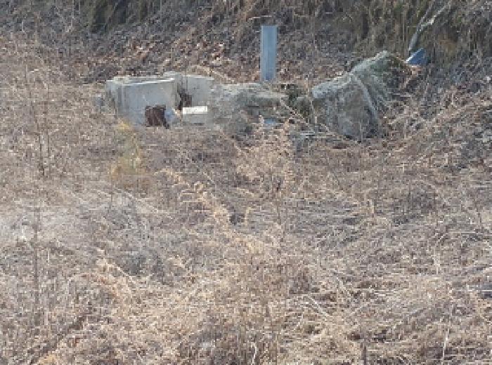 충청남도 금산군 금성면 도곡리 307-4 임야 경매 사진 63