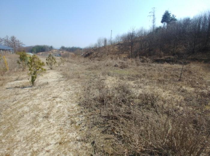 충청남도 금산군 금성면 도곡리 307-4 임야 경매 사진 64