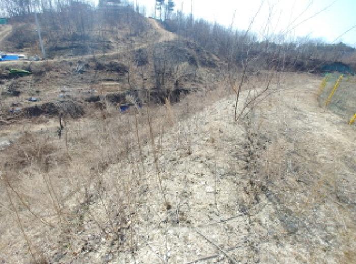 충청남도 금산군 금성면 도곡리 307-4 임야 경매 사진 66
