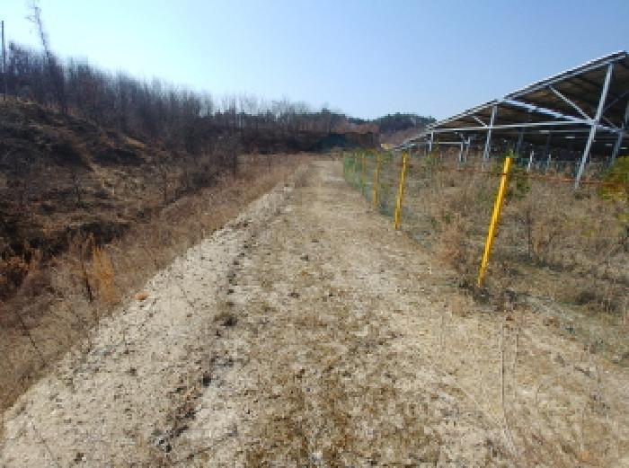 충청남도 금산군 금성면 도곡리 307-4 임야 경매 사진 67