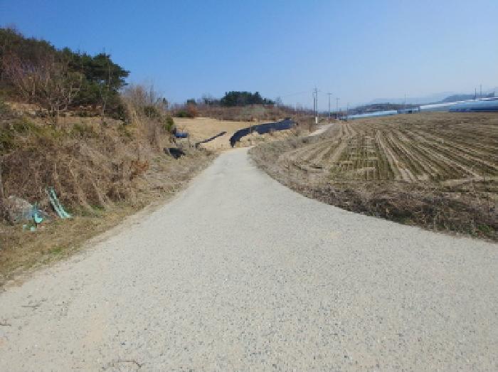 충청남도 금산군 금성면 도곡리 307-4 임야 경매 사진 72