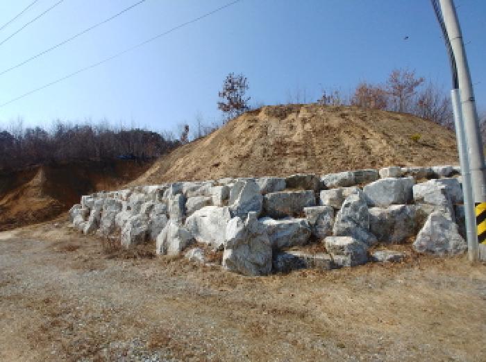 충청남도 금산군 금성면 도곡리 307-4 임야 경매 사진 77