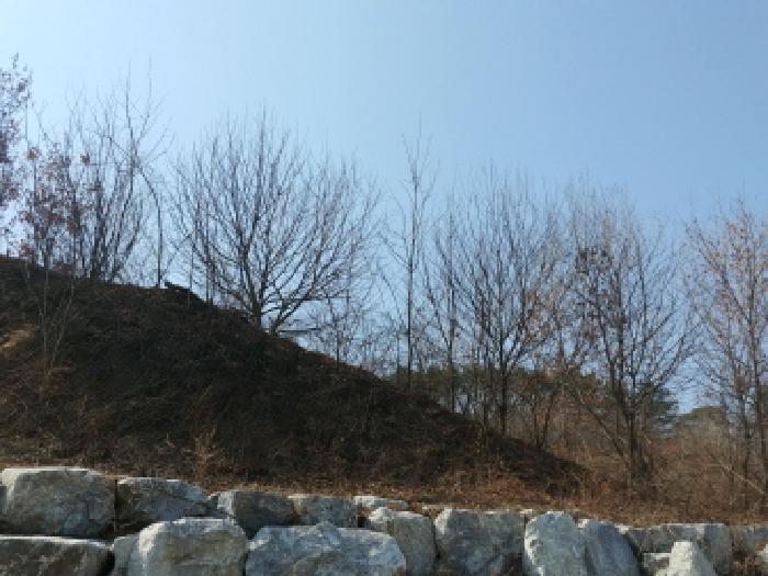 충청남도 금산군 금성면 도곡리 307-4 임야 경매 사진 81