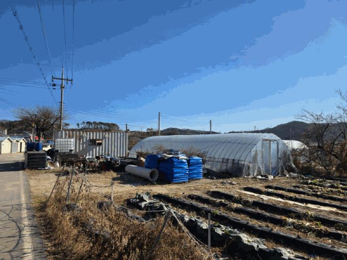 충청북도 청주시 서원구 현도면 노산리 52 전 경매 사진 2