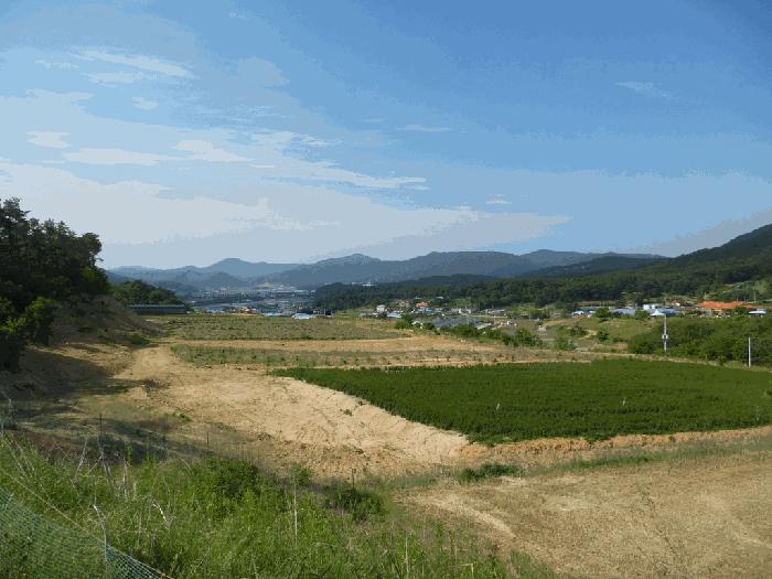 충청북도 청주시 상당구 가덕면 수곡리 산52-5 임야 경매 사진 1