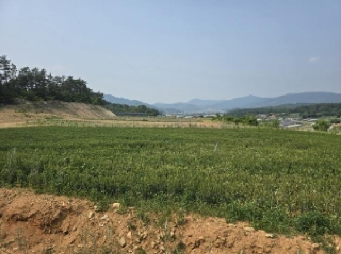 충청북도 청주시 상당구 가덕면 수곡리 산52-5 임야 경매 사진 10