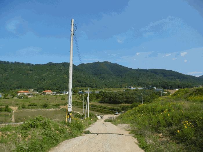 충청북도 청주시 상당구 가덕면 수곡리 산52-5 임야 경매 사진 4