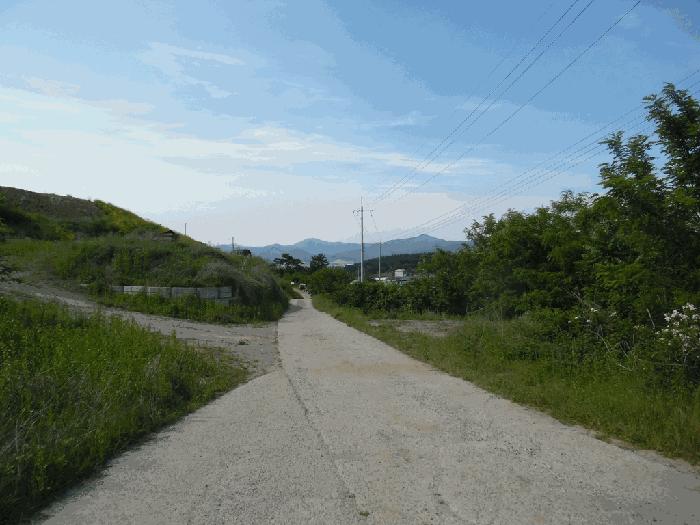 충청북도 청주시 상당구 가덕면 수곡리 산52-5 임야 경매 사진 5