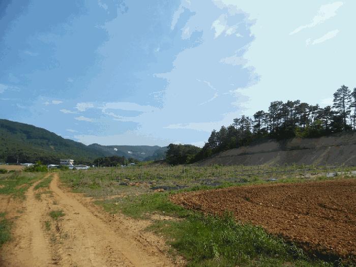 충청북도 청주시 상당구 가덕면 수곡리 산52-5 임야 경매 사진 7