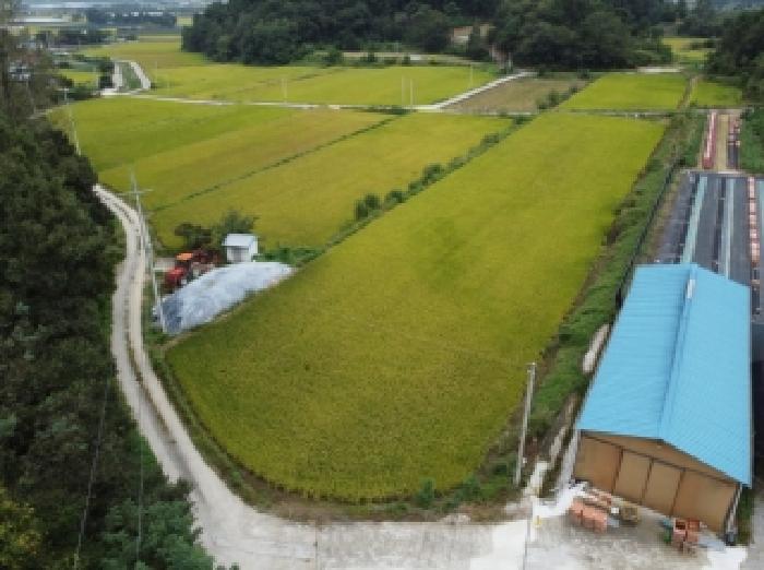 충청북도 보은군 탄부면 벽지리 787 답 경매 사진 6