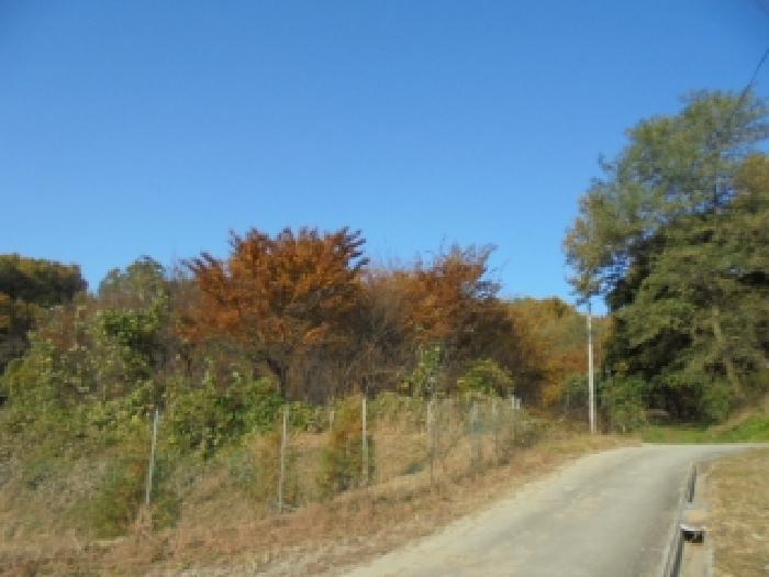 충청북도 청주시 상당구 남일면 송암리 65 전 경매 사진 1