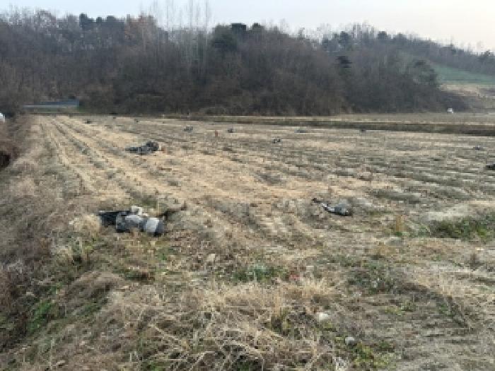 충청북도 괴산군 불정면 신흥리 14 전 경매 사진 2