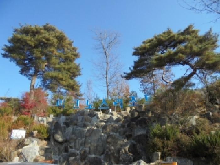 충청북도 청주시 상당구 미원면 종암리 483-2 근린시설 경매 사진 17