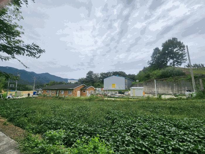 충청남도 금산군 남일면 초현리 351 공장 경매 사진 17