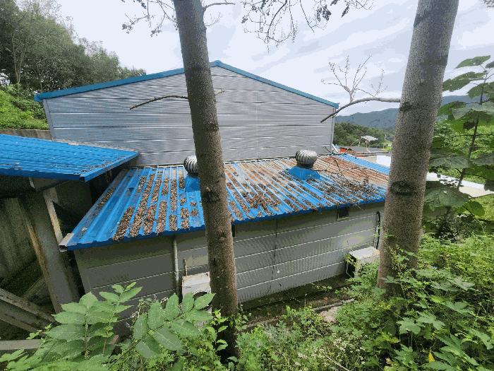 충청남도 금산군 남일면 초현리 351 공장 경매 사진 18