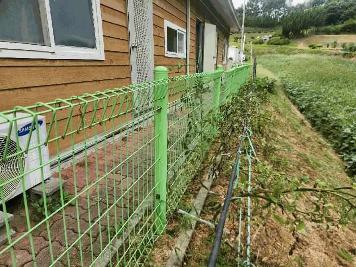 충청남도 금산군 남일면 초현리 351 공장 경매 사진 25