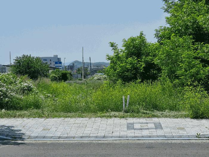 경상북도 영천시 과수원