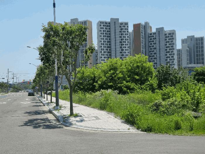 경상북도 영천시 완산동 726 과수원 경매 사진 2
