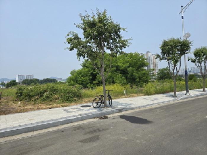 경상북도 영천시 완산동 726 과수원 경매 사진 3