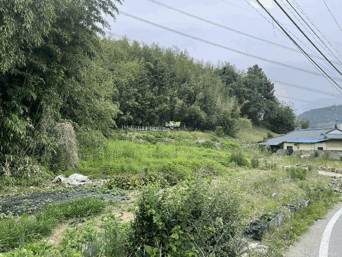 경상남도 김해시 한림면 퇴래리 1003 전 경매 사진 4