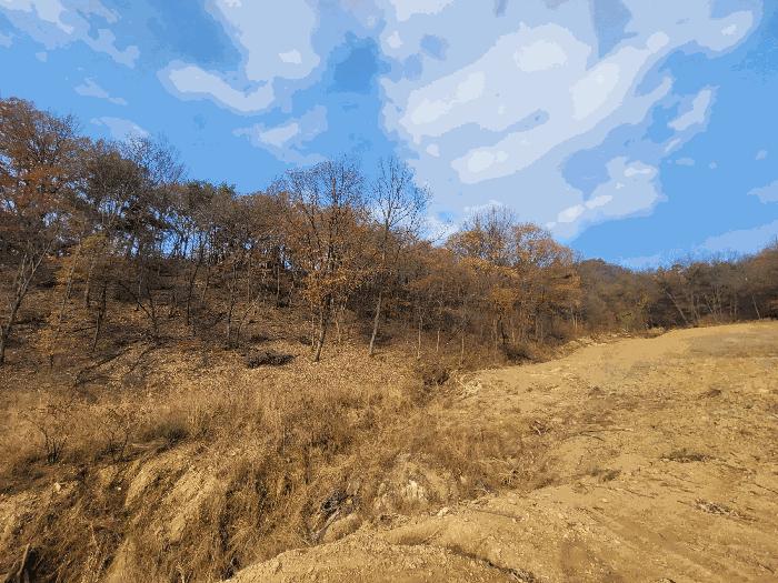 세종특별자치시 연서면 고복리 89 답 경매 사진 30