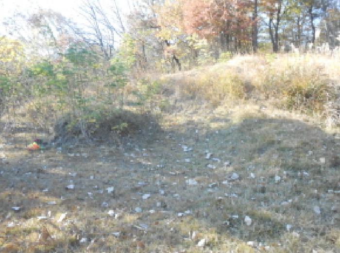 세종특별자치시 연서면 고복리 89 답 경매 사진 35