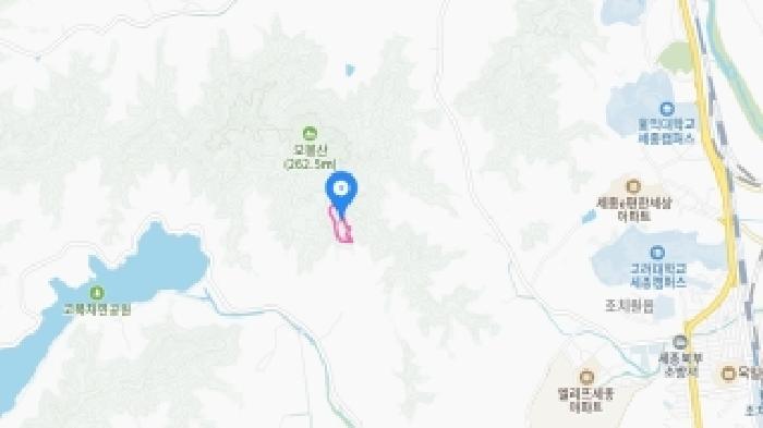 세종특별자치시 연서면 고복리 89 답 경매 사진 41