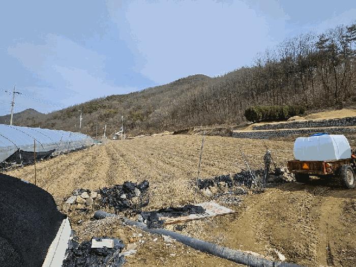경상북도 의성군 신평면 덕봉리 90 전 경매 사진 2