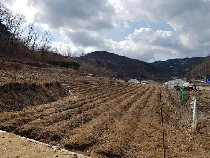 경상북도 의성군 신평면 덕봉리 90 전 경매 사진 6