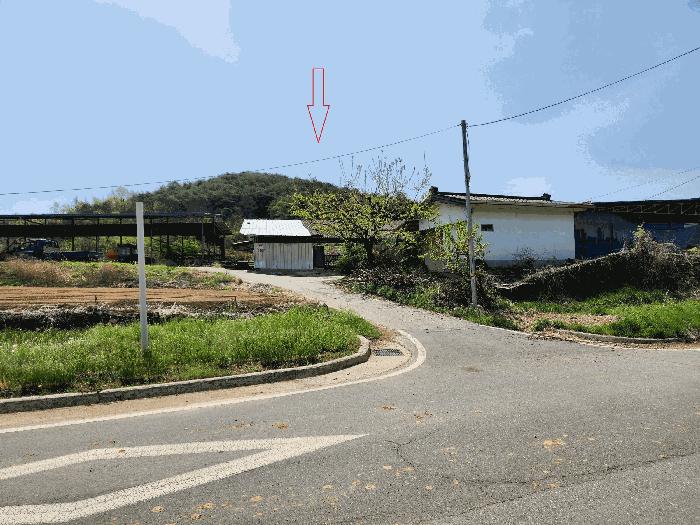 경상북도 의성군 의성읍 팔성리 산37-2 임야 경매 사진 5