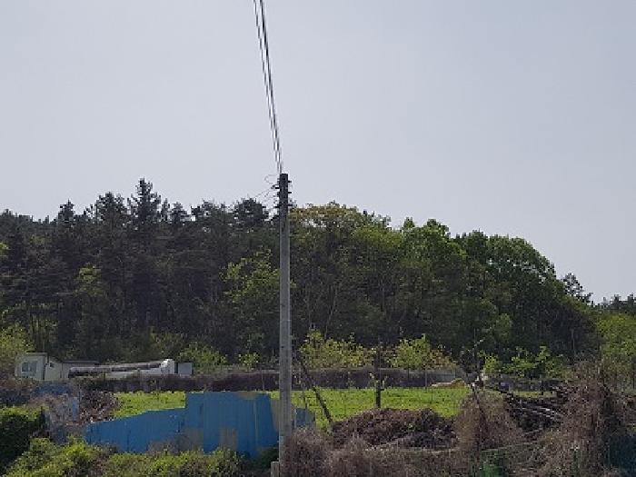 대구광역시 군위군 효령면 병수리 산72-1 임야 경매 사진 10