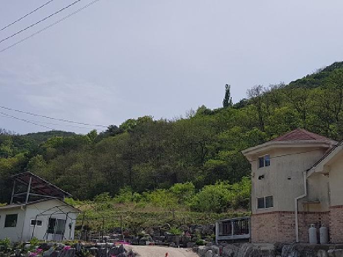 대구광역시 군위군 효령면 병수리 산72-1 임야 경매 사진 13