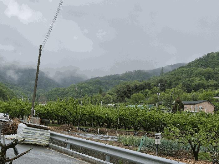 대구광역시 군위군 효령면 병수리 산72-1 임야 경매 사진 2