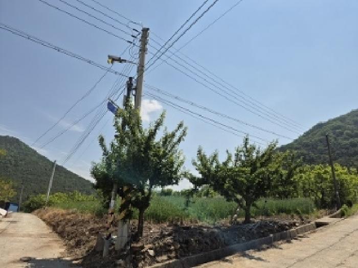 대구광역시 군위군 삼국유사면 화수리 23 전 경매 사진 3
