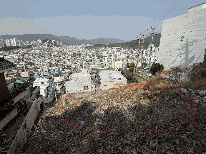 부산광역시 동래구 명장동 477-44 임야 경매 사진 3