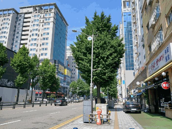 인천광역시 미추홀구 주안동 126-6 주안룩소르주상복합공동주택 8층807호 오피스텔 경매 사진 3