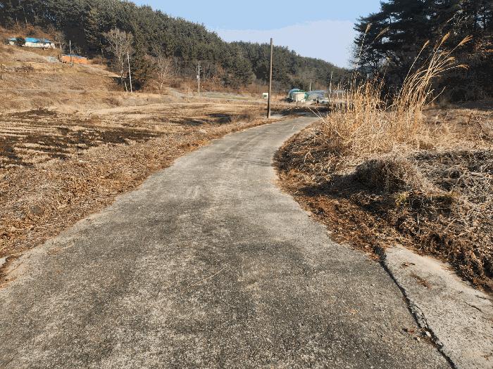 충청남도 태안군 이원면 포지리 425-2 임야 경매 사진 1