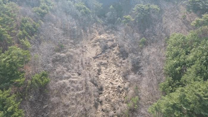 충청남도 태안군 이원면 포지리 425-2 임야 경매 사진 12