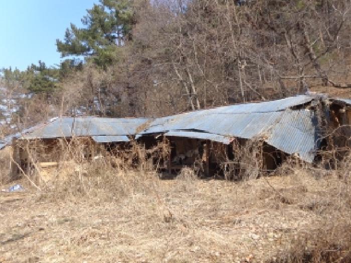 충청남도 태안군 이원면 포지리 425-2 임야 경매 사진 16