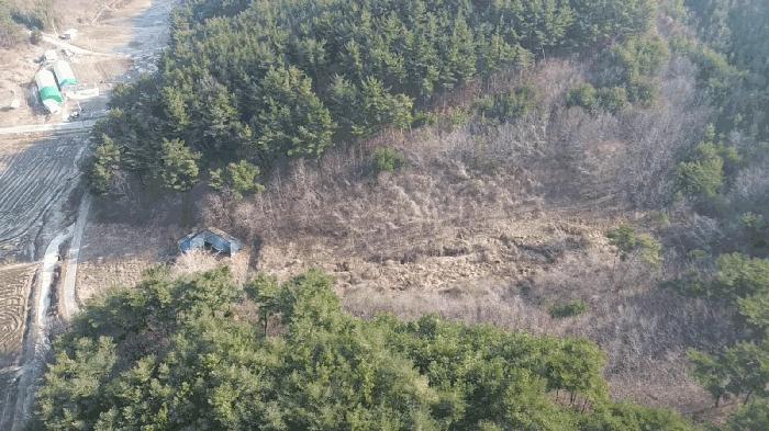 충청남도 태안군 이원면 포지리 425-2 임야 경매 사진 2