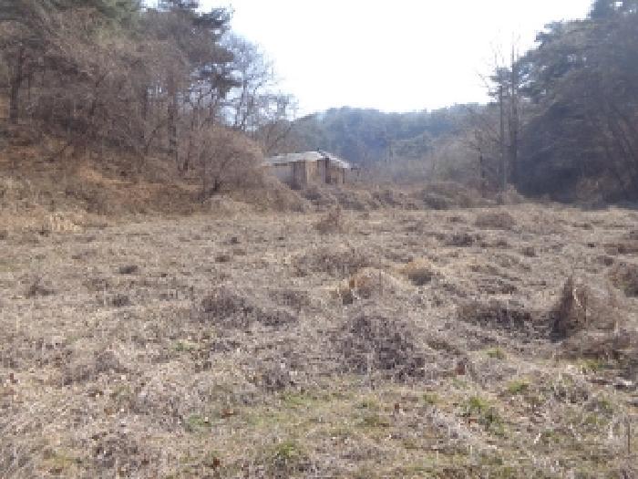 충청남도 태안군 이원면 포지리 425-2 임야 경매 사진 21