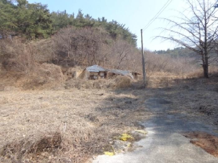 충청남도 태안군 이원면 포지리 425-2 임야 경매 사진 22