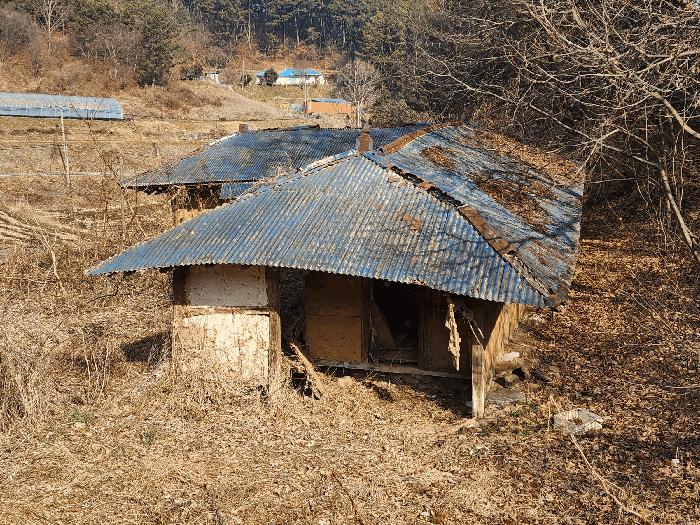 충청남도 태안군 이원면 포지리 425-2 임야 경매 사진 3