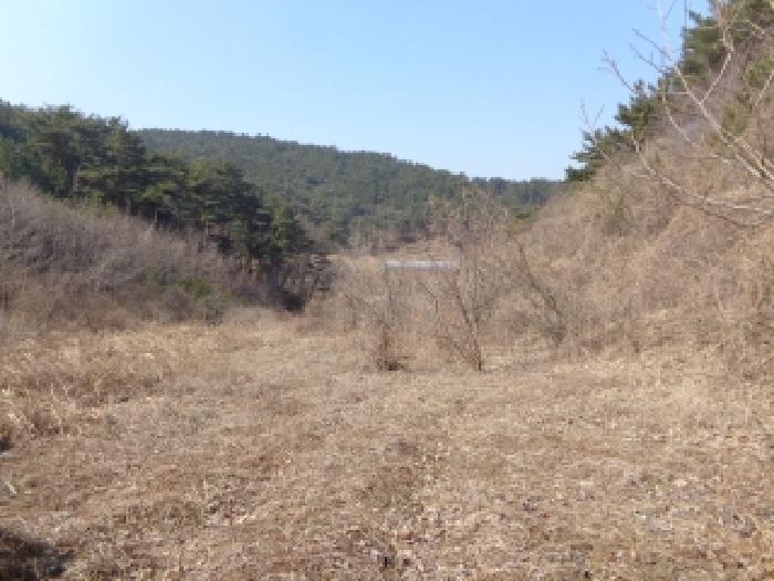 충청남도 태안군 이원면 포지리 425-2 임야 경매 사진 30